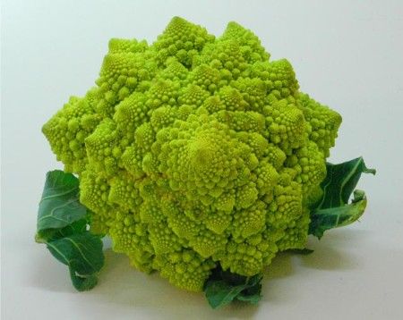 scr2 A Profile of a Beautiful Vegetable. A Food Musing.