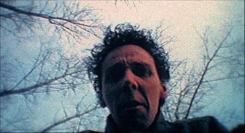 2968170_com_julien_donkey_boy3