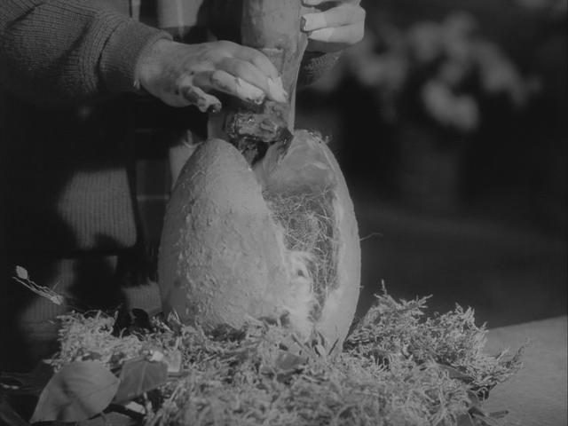 little_shop_of_horrors_photo