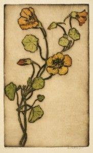 8-jaques-nasturtiums-1937AF