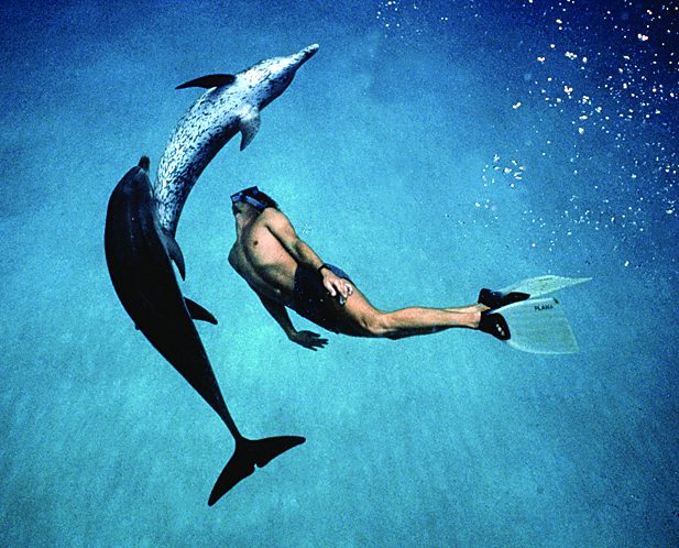 DOLPHIN_BOY_Morad_Dolphins_C