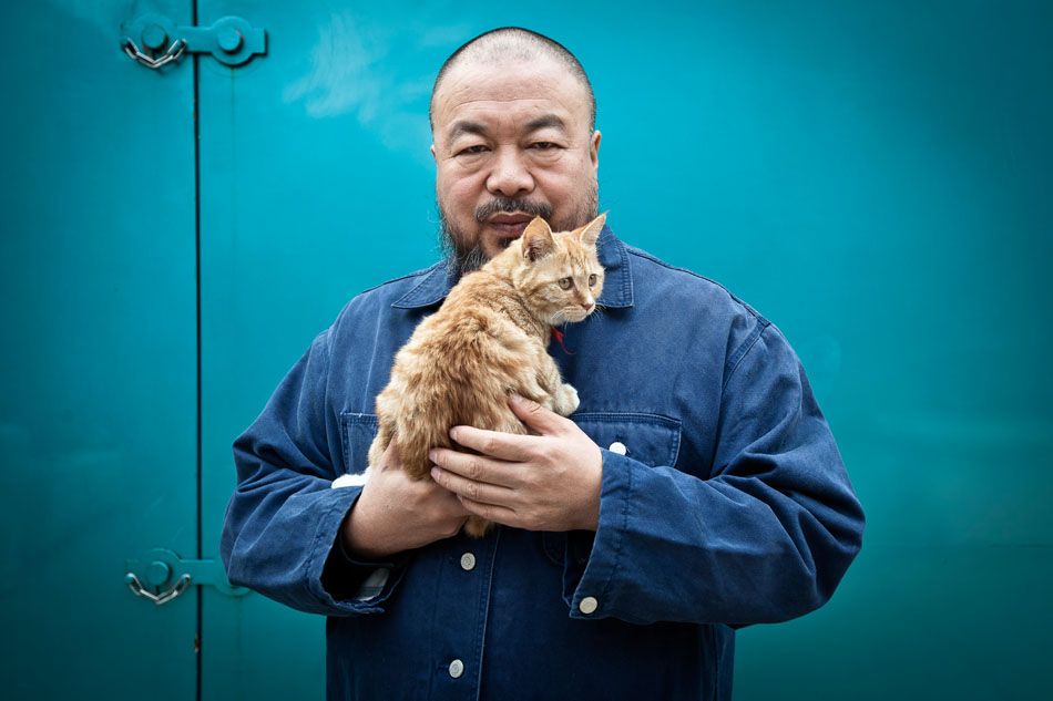 Aiweiwei/è¾æªæª poses for a portrait in his studio compound.