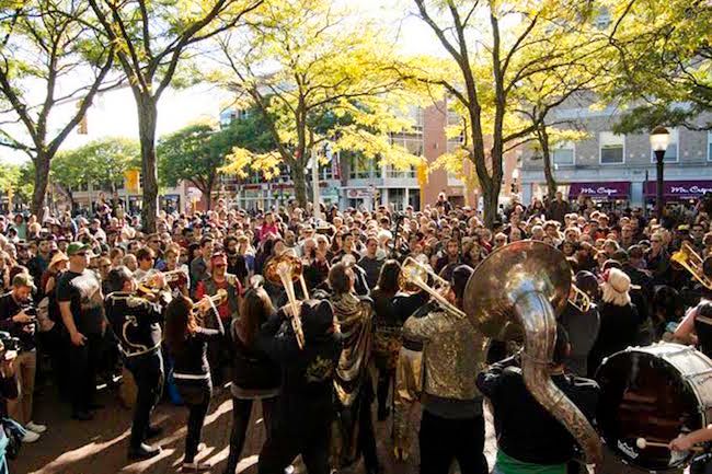 A glimpse of HONK! at full throttle. Photo: