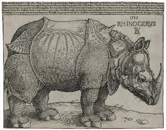 3_durer_rhinoceros_small