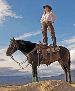 wildhorse