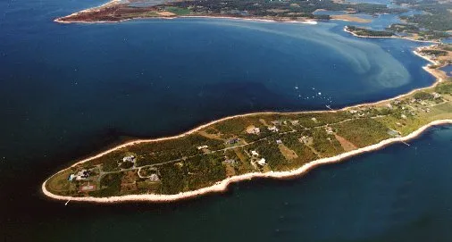 mishaum
