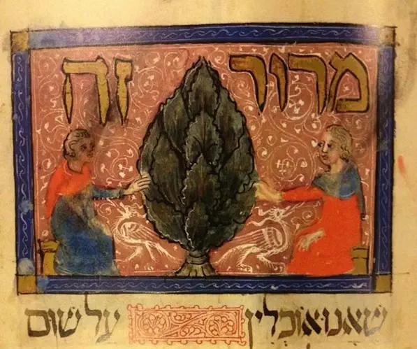An image from the S