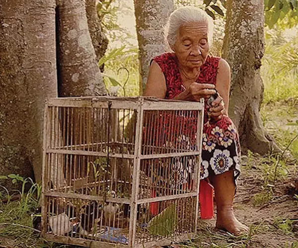 A scene from "The Look of Silence," one of the best scenes of the year.