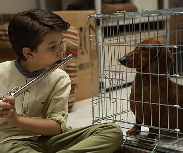 A scene from "Weiner-Dog."